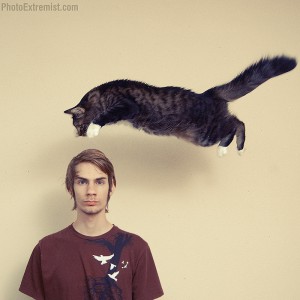 How To Photograph A Flying Cat How To Photograph A Flying Cat