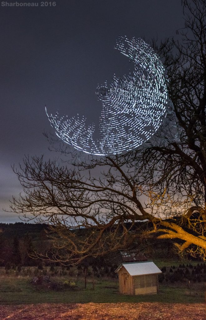 tree_projection_art_photography